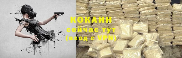 крисы Липки