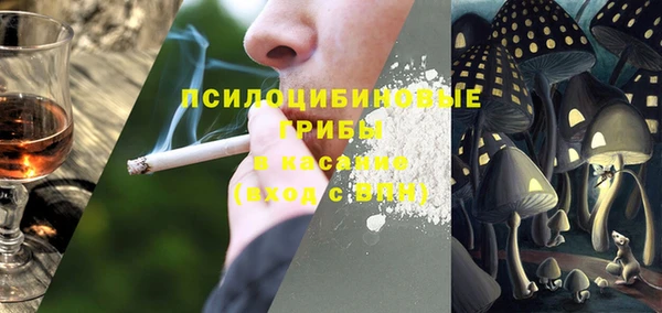 крисы Липки