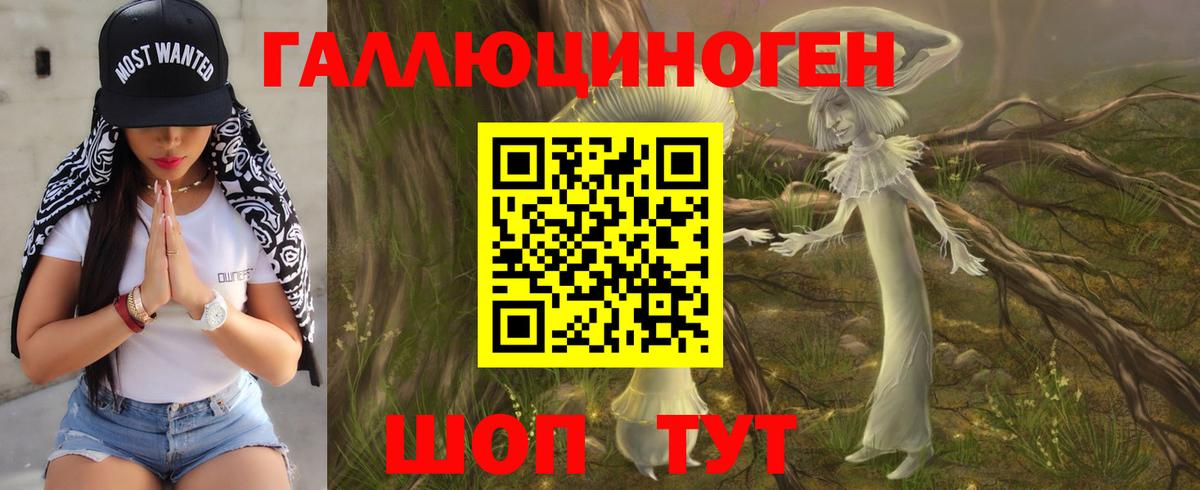 Псилоцибиновые грибы Cubensis Шали