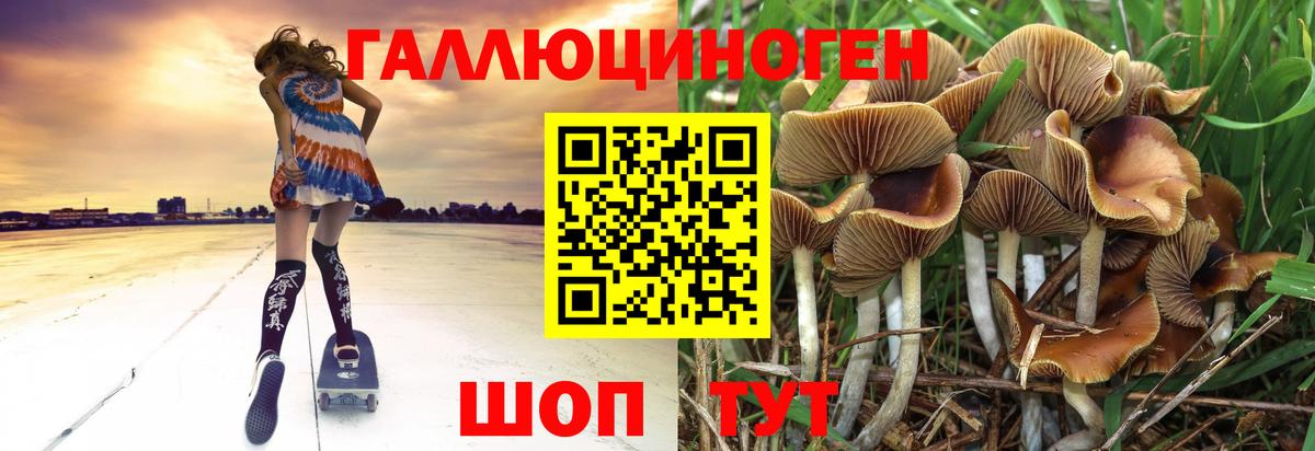 Псилоцибиновые грибы MAGIC MUSHROOMS  Галлюциногенные грибы ЛСД  Шали 