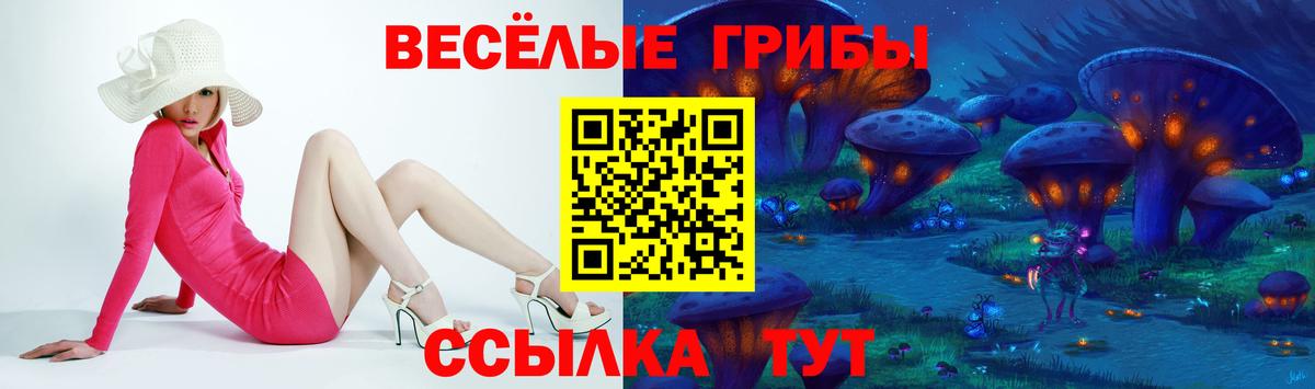 купить наркотик  Псилоцибиновые грибы MAGIC MUSHROOMS  Галлюциногенные грибы ЛСД  Вход с VPN  Шали 
